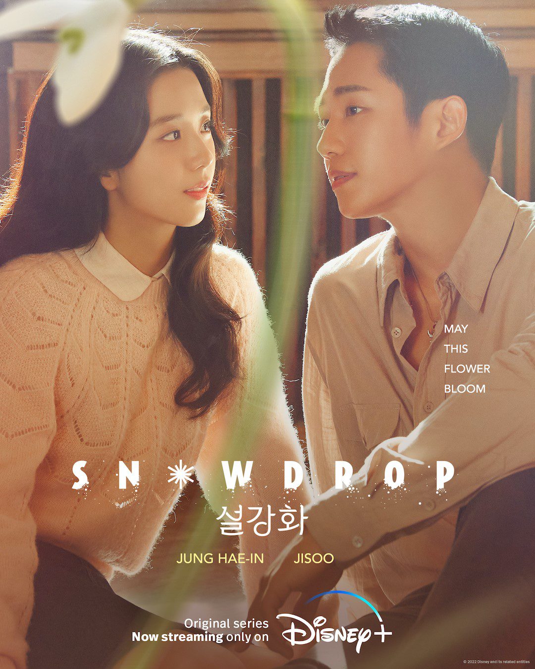 دانلود سریال Snowdrop 2021